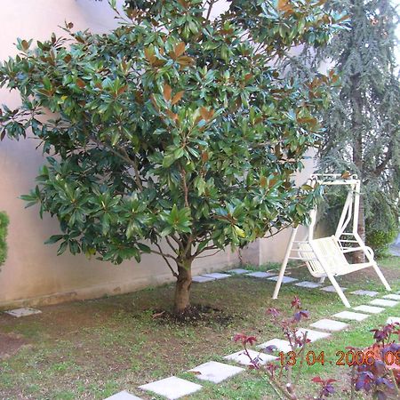 סניגליה Hotel Trieste מראה חיצוני תמונה